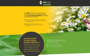 BEE Smart Program