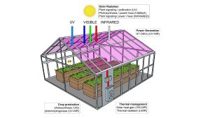 Diagram of a solar powered greenhouse; courtesy of GreenhouseCanada.com