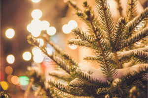 Christmas tree and LED lights