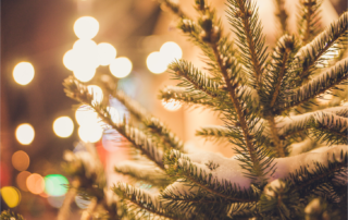 Christmas tree and LED lights